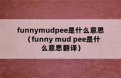 funnymudpee是什么意思（funny mud pee是什么意思翻译）